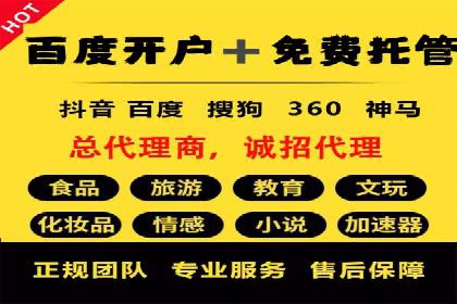 探索SEM代运营公司的经典案例与策略